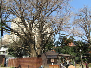 IMG_1463.JPG