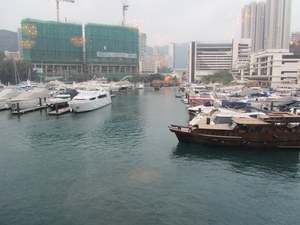 IMG_1809-1.JPG