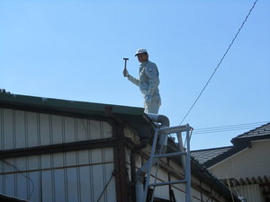 IMG_0049.JPG
