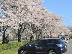 IMG_0248-1.JPG