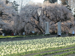 IMG_0274-1.JPG