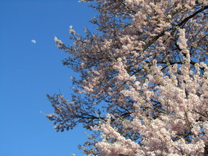 IMG_0301-1.JPG