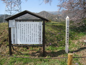 IMG_0389-1.JPG