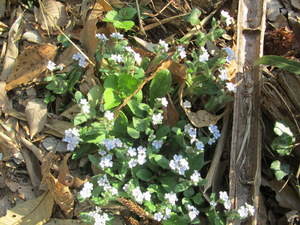 IMG_0390-2.JPG