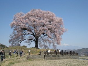 IMG_0394-1.JPG