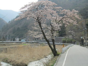 IMG_0494-1.JPG