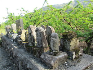 IMG_1043-1.JPG