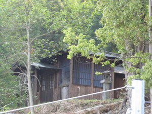 IMG_1054-1.JPG