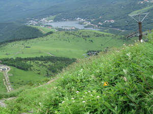 IMG_3018-1.JPG