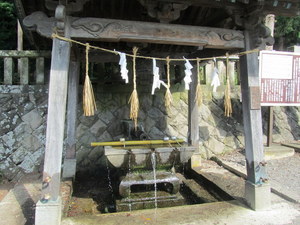 IMG_3548-1.JPG