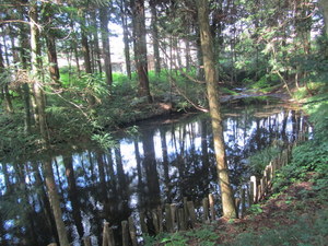 IMG_3557-1.JPG
