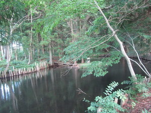 IMG_3570-2.JPG