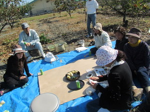 IMG_6130-1.JPG