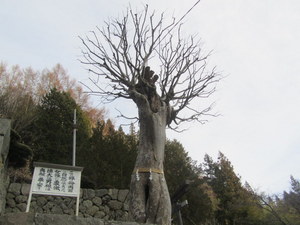 IMG_9386-1.JPG