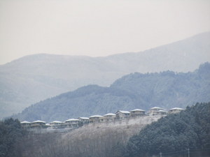 IMG_9596.JPG