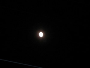 IMG_0180-1.JPG