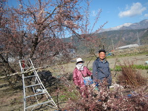 IMG_0027-1.JPG