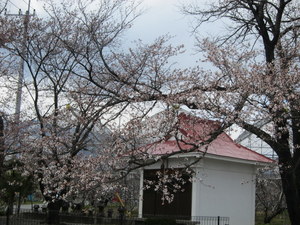 IMG_0040.JPG