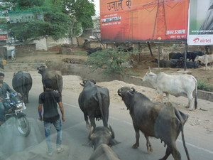 DSCN1638.JPG