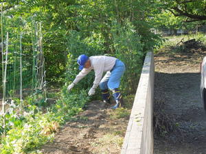 DSCN2033-1.JPG